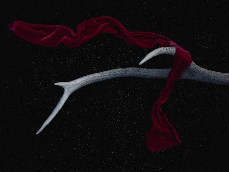 Historical Wonders of Rome