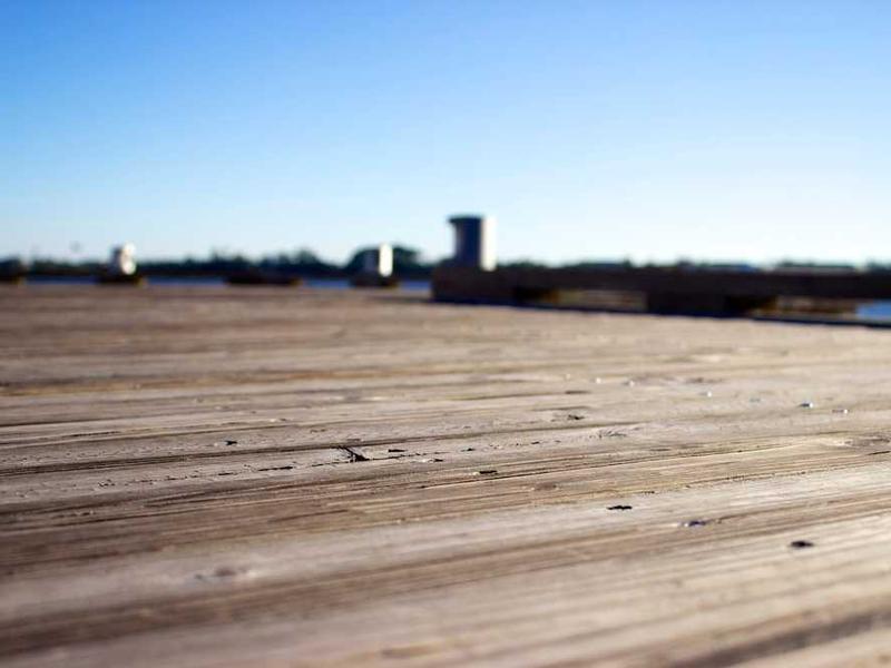 Adventure Jungle Safari